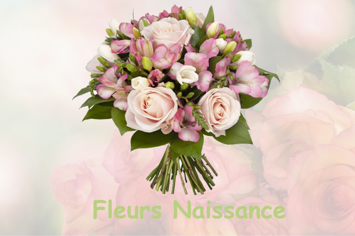 fleurs naissance INTVILLE-LA-GUETARD