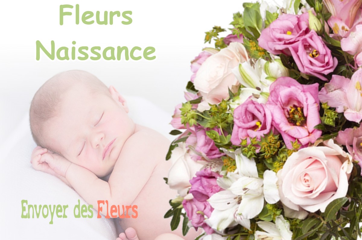 lIVRAISON FLEURS NAISSANCE à INTVILLE-LA-GUETARD