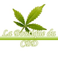 LA BOUTIQUE DU CBD INTVILLE-LA-GUETARD 